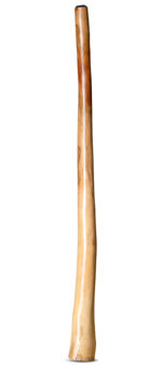 Jesse Lethbridge Didgeridoo (JL168)
